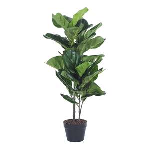 Potted Plants: Eden Potted Fiddle Leaf Tree 95cm