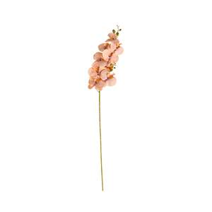 Stems Bunches: Bloomery Moth Orchid Stem Peach 102cm