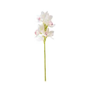 Stems Bunches: Bloomery Boat Orchid Stem White 63cm