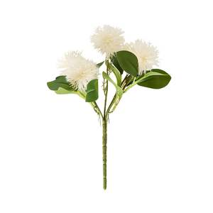 Stems Bunches: Bloomery Melaleuca Stem 25cm