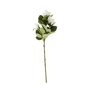 Stems Bunches: Bloomery Rose Stem White 51cm
