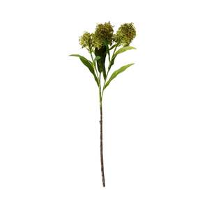 Stems Bunches: Bloomery Viburnum Stem Green 57cm