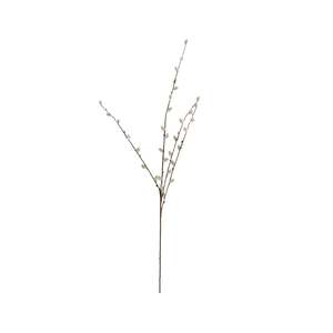 Bloomery Pussy Willow Stem 95cm