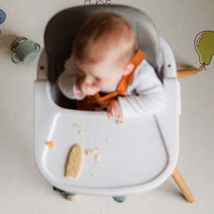 The Solid Starts Premium Feeding Bundle