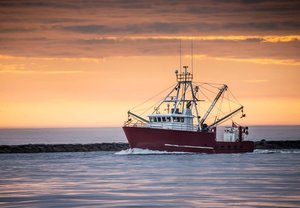 Reliable Mercury Outboard Dealer in NZ Now