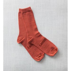 Lamington Merino Crew Socks - Man - Brick