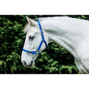 Flair Heavy Duty Nylon Web Halter