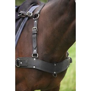 Easts 1: Easts Leather Combination Breastplate