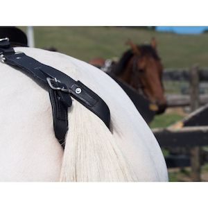 Easts Leather Crupper