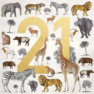 Museums & Galleries - Safari - 21st Birthday Card
