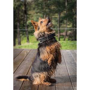 Easts Leather Dog Collar Heavy Duty 32mm