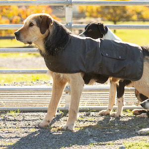 Dog Coats: Styx Mill Lined Oilskin Dog Coat