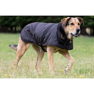 Dog Coats: Outback Clancy Oilskin Dog Coat
