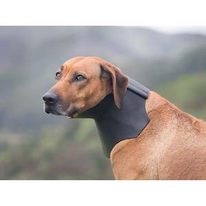 Dog Collars Leads: Large Shaped Rip Collar - Velcro Closure