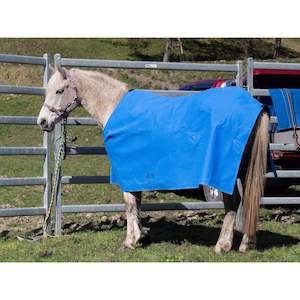 East Canvas Covers: Thermal Lock Stable Star Standard Horse Cover