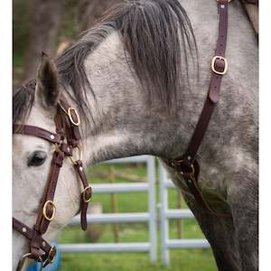 Easts Latigo Leather Breastplate Martingale Brass Fittings 32mm