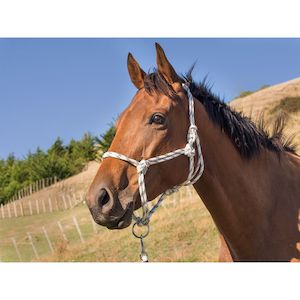 Easts Heavy Duty Rope Halter - Full