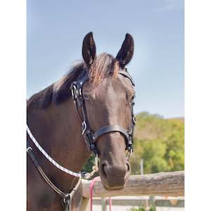 Easts Leather Double Head Station Bridle with Noseband