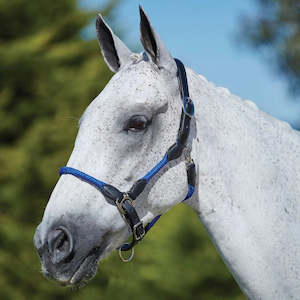 Horse: Kincade Leather Rope Headcollar