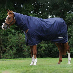 Larsens Showjumping Specials: Saxon Defiant with Buckle 600D Combo Neck Lite