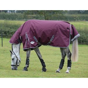 Black Friday Sale: WeatherBeeta Comfitec Plus Dynamic II Combo Neck Medium Light 100g