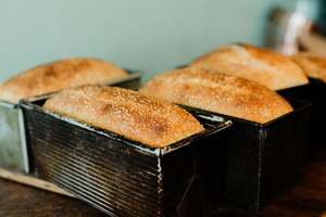 Soft Sourdough Sandwich (plain or toasted Sesame)