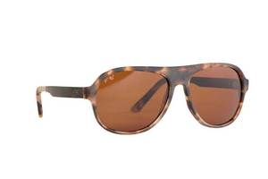 Sunglasses: Proof Riggins Tortoise