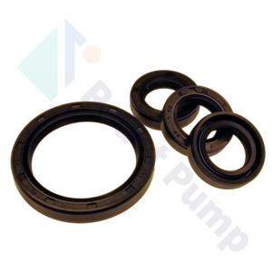 React Pump: React Pump Oil Side Seals