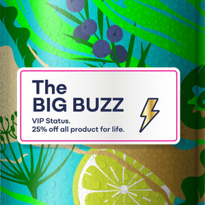 All: The Big Buzz Donation