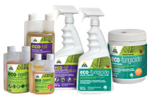 Archive - Eco Organic Garden