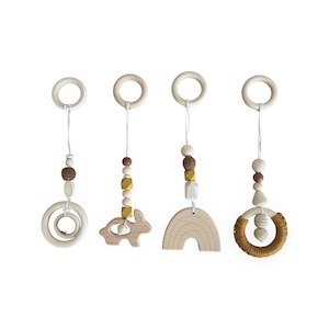 Playgym: Ecosprout Playgym Toy 4 Pce Set Rainbow: Cinnamon