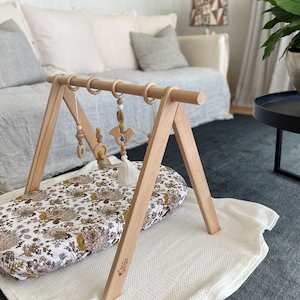 Play Furniture: Ecosprout Wooden Playgym : Beechwood