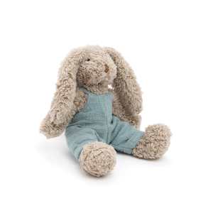 Baby Honey Bunny Boy : Blue
