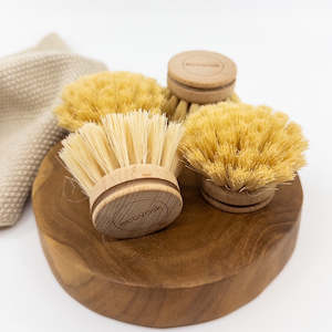 Eco Dish Brushes: CLEARANCE - Original Tampico Brush Head Refills 4 pk