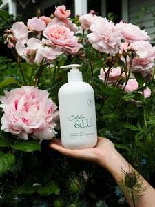 Natural Hand Body Wash: Guava & Lychee Natural Hand & Body Wash