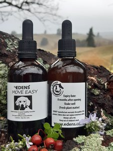 Products: Edens Move Easy for Dogs