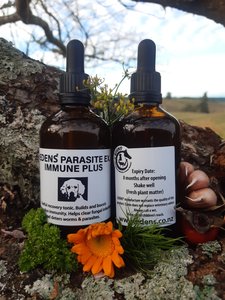 Products: Edens Parasite Ex & Immune Plus for Dogs
