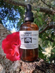 Products: Edens Rescue Plus