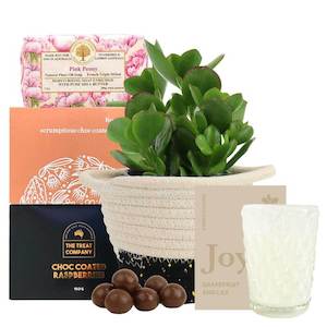 Gifts Under 99: Succulent Scent Hamper