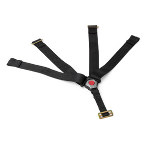 Spare Parts Avery: Avery / Capsule s2 5 Point Harness