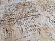 Script - Eiderdowns By Anita