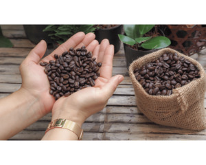 Products: Signature Blend - Eighth Continent Coffee