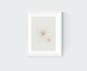 Beach Spinifex