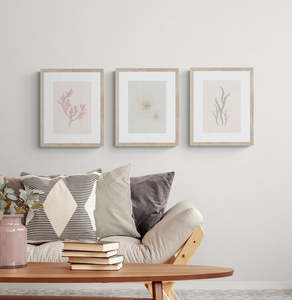 NZ Seaweed & Spinifex 3 Print Set