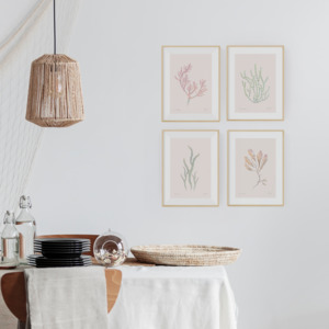 NZ Native Seaweed 4 print set