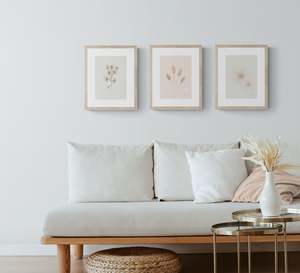 Botanical Prints: Beach Grasses 3 print set