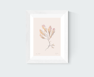 Brown Algae Art Print