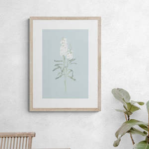 Open Edition: White Stock Flower Art Print