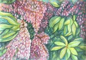 The Valley Tree
