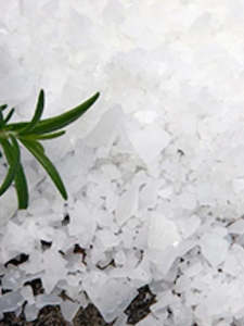 Magnesium Support: Magnesium Flakes